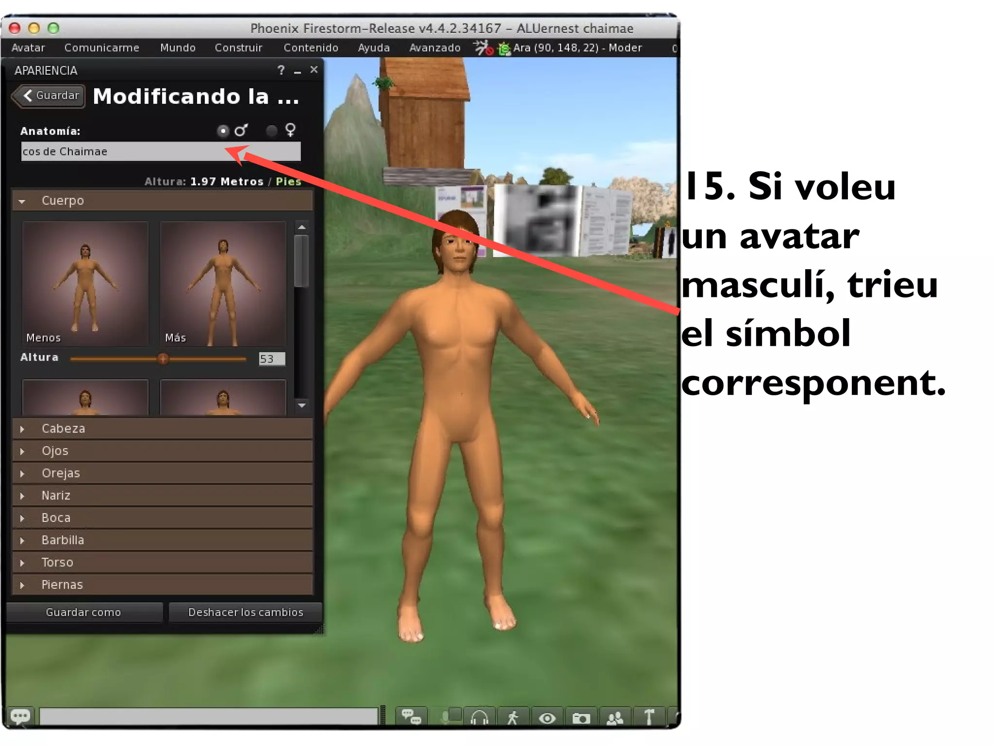 15. Si voleu
un avatar
masculí, trieu
el símbol
corresponent.
 