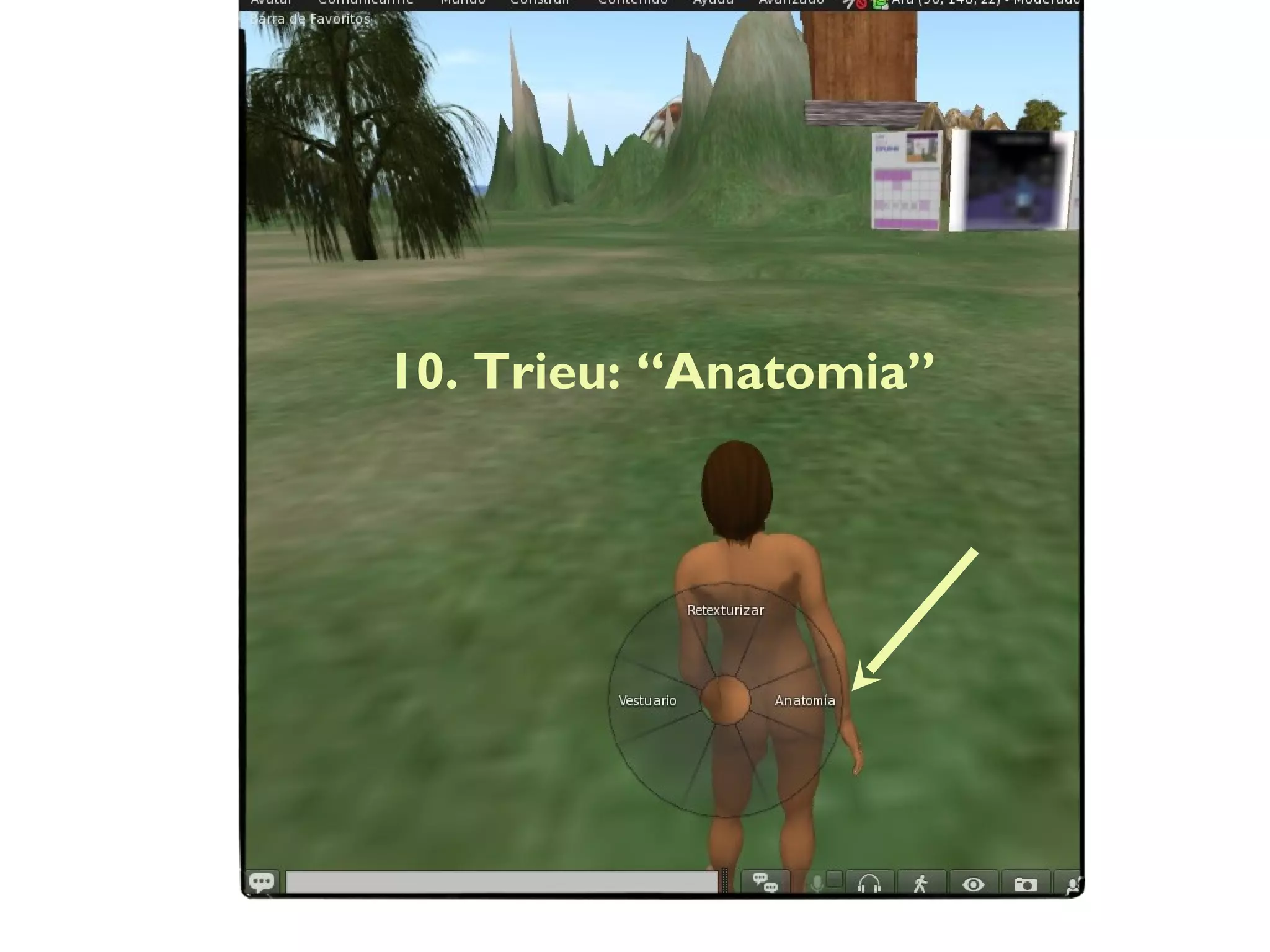 10. Trieu: “Anatomia”
 