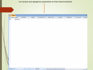 Los campos que agregamos aparecerán en línea hacia la derecha
 