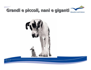 Grandi e piccoli, nani e giganti
         piccoli,
 