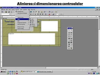 Alinierea si dimensionarea controalelor 