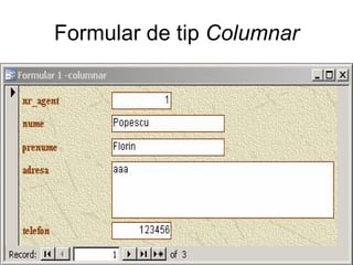 Formular de tip  Columnar 