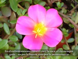 En el enfrentamiento entre el río y la roca, el río siempre
    gana… no por la fuerza, sino por la perseverancia
 