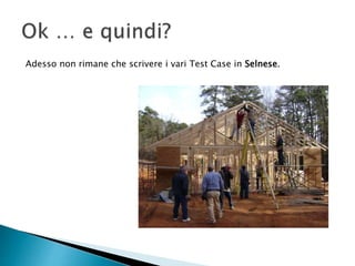 Adesso non rimane che scrivere i vari Test Case in Selnese.
 