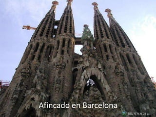 Afincado en Barcelona