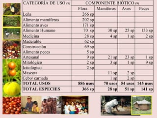 CATEGORÍA DE USO  (9) COMPONENTE BIÓTICO  (9) Flora Mamíferos Aves Peces Leña 266 sp Alimento mamíferos 202 sp Alimento aves 171 sp Alimento Humano 70  sp 30 sp 25 sp 133 sp Medicina 28 sp 4 sp 1 sp 2 sp Maderable 62 sp Construcción 69 sp Alimento peces 5 sp Artesanal 9 sp 21 sp 23 sp 1 sp Mitológico 2 sp 3 sp 1 sp 9 sp Ictiológico 2 sp Mascota 11 sp 2 sp Cebo/ carnada 1 sp 2 sp TOTAL USOS 886 usos 70 usos 54 usos 145 usos TOTAL ESPECIES 366 sp 28 sp 51 sp 141 sp 