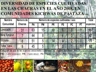 DIVERSIDAD DE ESPECIES CULTIVADAS EN LAS CHACRAS EN EL AÑO 2008, EN COMUNIDADES KICHWAS DE PASTAZA  (10) 
