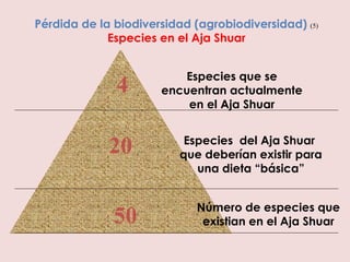 Especies que se encuentran actualmente en el Aja Shuar Pérdida de la biodiversidad (agrobiodiversidad)   (5)   Especies en el Aja Shuar 4 Especies  del Aja Shuar  que deberían existir para una dieta “básica” Número de especies que existian en el Aja Shuar 20 50 