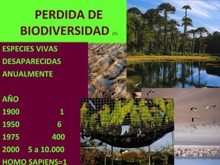 PERDIDA DE BIODIVERSIDAD  (5) ESPECIES VIVAS DESAPARECIDAS ANUALMENTE AÑO 1900   1 1950   6 1975   400 2000   5 a 10.000 HOMO SAPIENS=1 