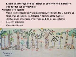 Líneas de investigación de interés en el territorio amazónico, que pueden ser promovidas. Aspectos Ecológicos: Manejo de especies nativas amazónicas, biodiversidad y cultura, en relaciones éticas de colaboración y respeto entre pueblos, instituciones, investigadores Fragilidad de los ecosistemas Riesgos naturales Clases de suelos 