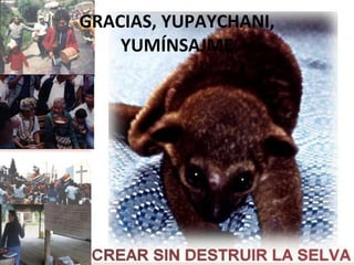 GRACIAS, YUPAYCHANI, YUMÍNSAJME 