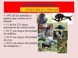 LA BIODIVERSIDAD  - 10% de los animales y plantas que existen en el planeta - 11 de las 121 áreas prioritarias de conservación - El 3º con mayor diversidad de anfibios - El 4º con mayor diversidad de aves - El 6º con mayor diversidad de mariposas  (4) 