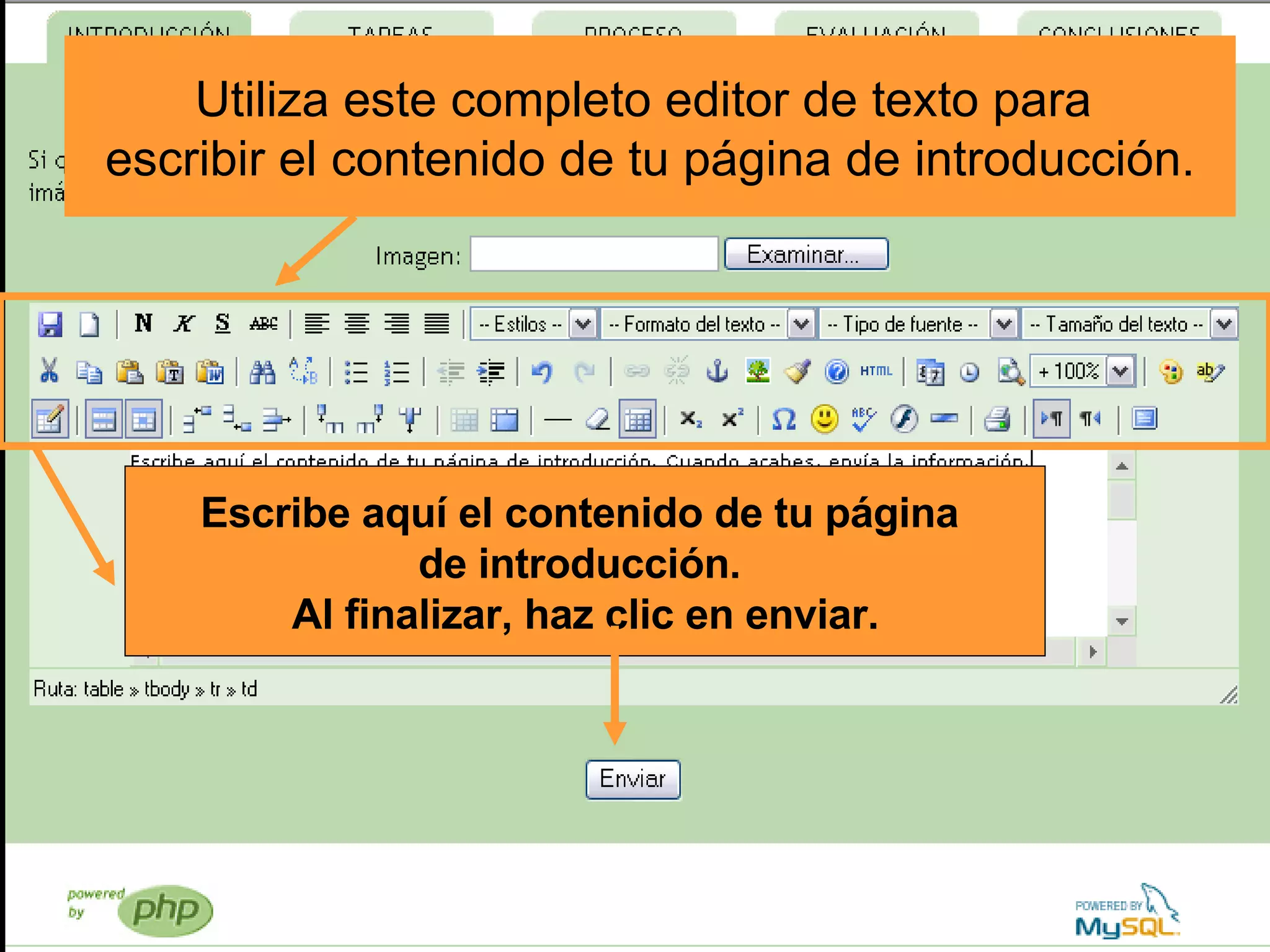 Utiliza este completo editor de texto para  escribir el contenido de tu página de introducción. Escribe aquí el contenido de tu página  de introducción.  Al finalizar, haz clic en enviar. 