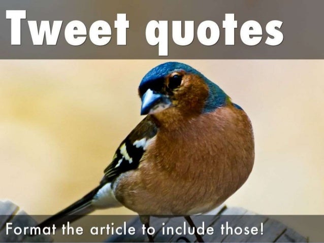 Create and promote an epic article cheatsheet Slide 13