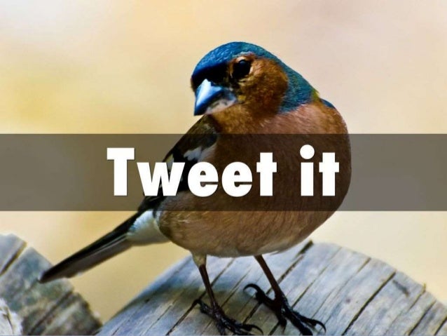 Create and promote an epic article cheatsheet Slide 18