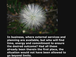 In business, where external services and planning are available, but who will find time, energy and commitment to ensure the desired outcome? Had all these already been therein the first place, the situation would not have been allowed to go beyond limits.   