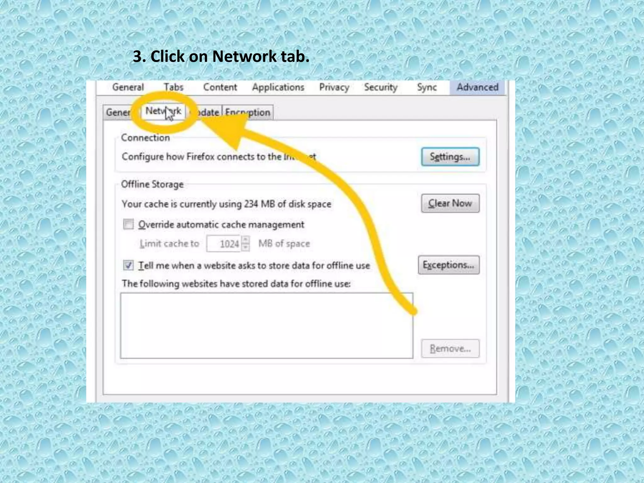 3. Click on Network tab.
 