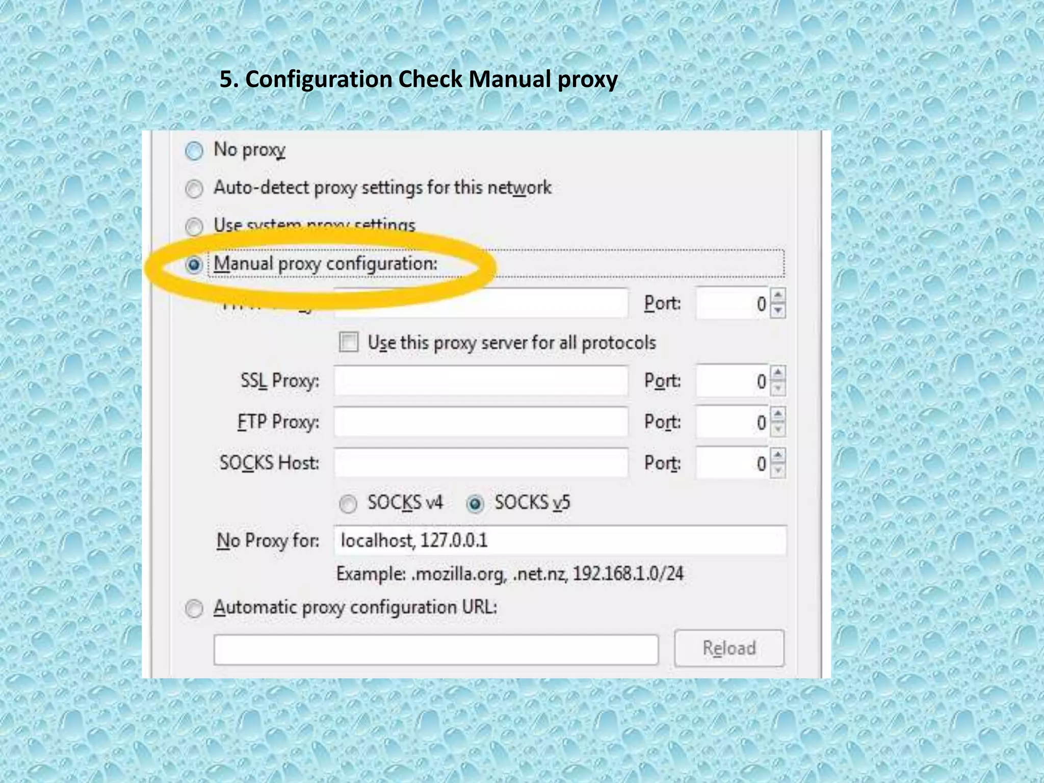5. Configuration Check Manual proxy
 