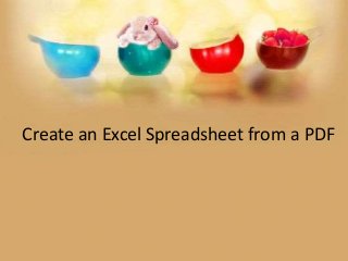 Create an Excel Spreadsheet from a PDF
 