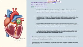 Introduction, Principle & Brief working of Ultrasound / Sonography | PPTX