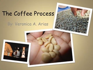 The Coffee Process
 By: Veronica A. Arias
 