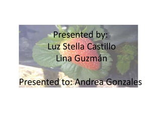 Presented by:
Luz Stella Castillo
Lina Guzmán
Presented to: Andrea Gonzales
 