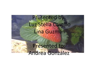 Presented by:
Luz Stella Castillo
Lina Guzmán
Presented to:
Andrea González
 