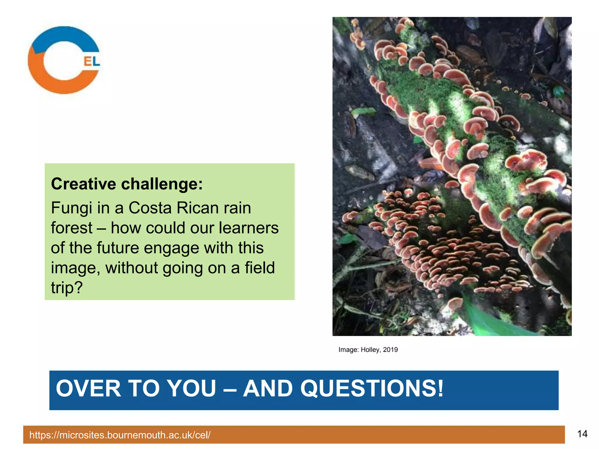 https://microsites.bournemouth.ac.uk/cel/ 14
OVER TO YOU – AND QUESTIONS!
Creative challenge:
Fungi in a Costa Rican rain
forest – how could our learners
of the future engage with this
image, without going on a field
trip?
Image: Holley, 2019
 