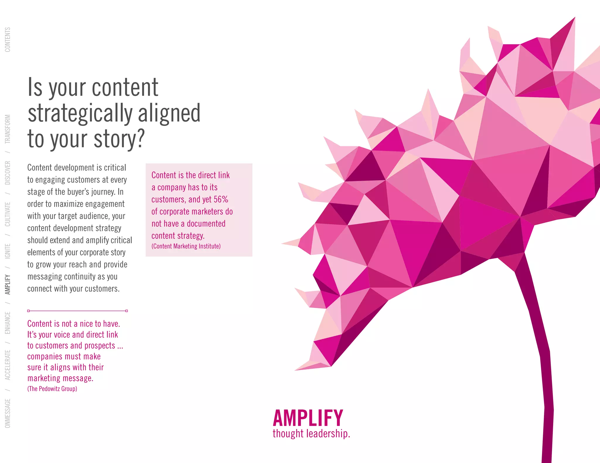 Content development is critical
to engaging customers at every
stage of the buyer’s journey. In
order to maximize engagement
with your target audience, your
content development strategy
should extend and amplify critical
elements of your corporate story
to grow your reach and provide
messaging continuity as you
connect with your customers.
Content is not a nice to have.
It’s your voice and direct link
to customers and prospects ...
companies must make
sure it aligns with their
marketing message.
(The Pedowitz Group)
Content is the direct link
a company has to its
customers, and yet 56%
of corporate marketers do
not have a documented
content strategy.
(Content Marketing Institute)
Is your content
strategically aligned
to your story?
AMPLIFY
thought leadership.
ONMESSAGE/ACCELERATE/ENHANCE/AMPLIFY/IGNITE/CULTIVATE/DISCOVER/TRANSFORMCONTENTS
 