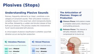 Plosion Create English consonant classification slides.pptx