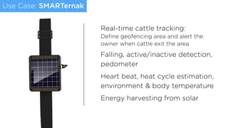Use Case: SMARTernak
Real-time cattle tracking: 
Deﬁne geofencing area and alert the
owner when cattle exit the area
Falling, active/inactive detection,
pedometer
Heart beat, heat cycle estimation,
environment & body temperature
Energy harvesting from solar
 