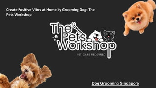 Create Positive Vibes at Home by Grooming Dog: The
Pets Workshop
Dog Grooming Singapore
 