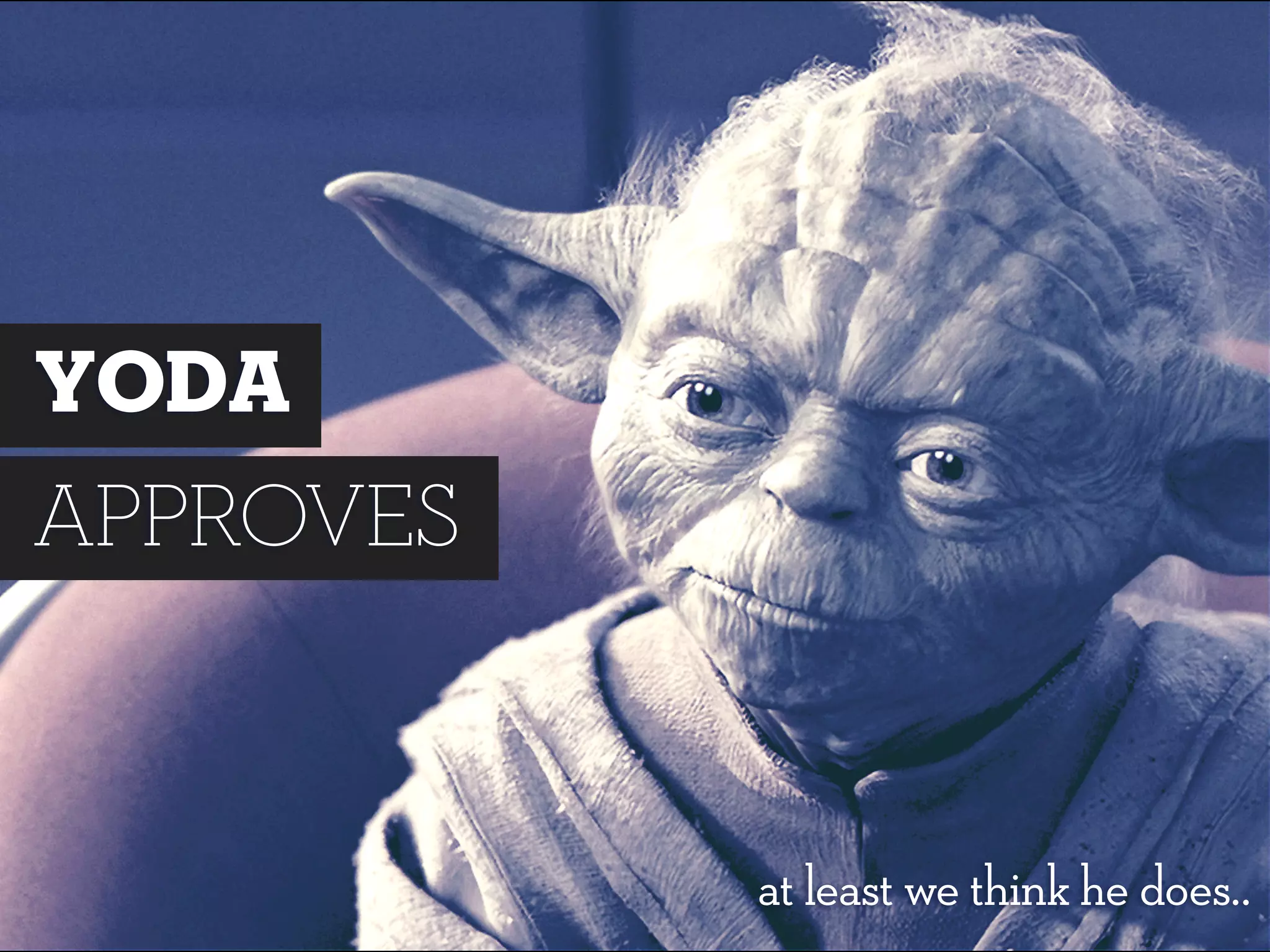 YODA
APPROVES
at least we think he does..
 