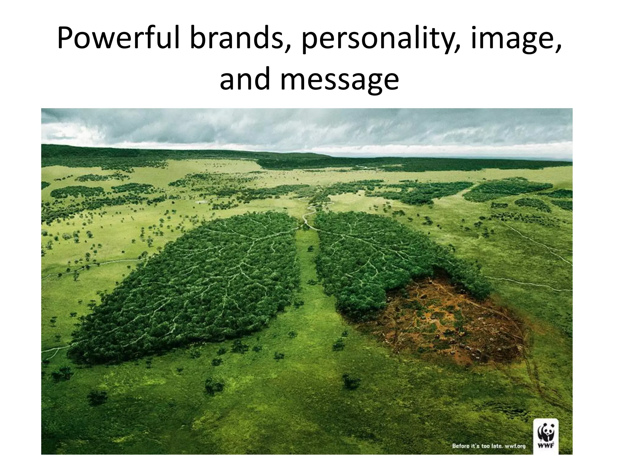 Powerful brands, personality, image,
and message
 