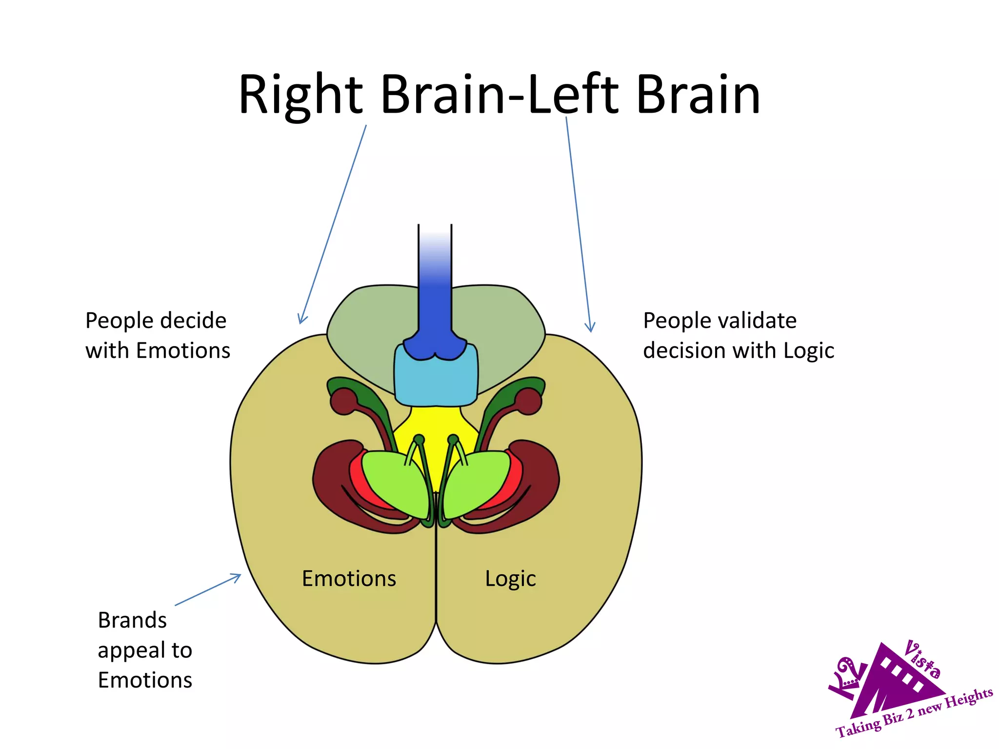Right Brain-Left Brain
People decide
with Emotions
Brands
appeal to
Emotions
Emotions Logic
People validate
decision with Logic
 