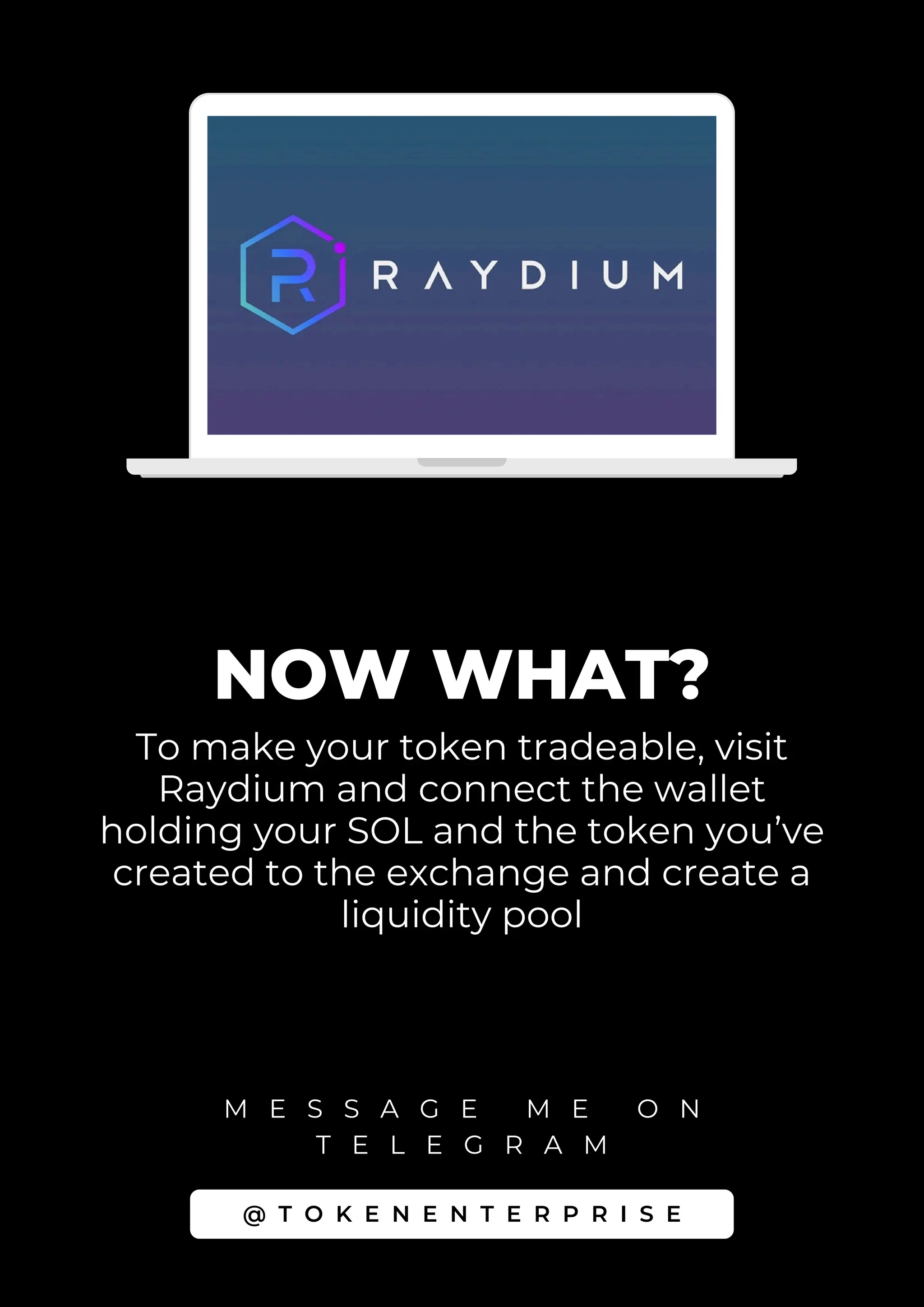Create Your Own Memecoin - A Complete Guide To Creating A Solana Token In  The Linux Terminal | PDF