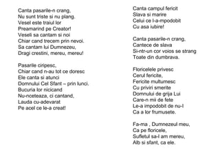 Canta pasarile-n crang, Nu sunt triste si nu plang. Vesel este traiul lor Preamarind pe Creator! Veseli sa cantam si noi Chiar cand trecem prin nevoi. Sa cantam lui Dumnezeu, Dragi crestini, mereu, mereu! Pasarile ciripesc,  Chiar cand n-au tot ce doresc Ele canta si atunci Domnului Cel Sfant – prin lunci. Bucuria lor nicicand Nu-nceteaza, ci cantand, Lauda cu-adevarat Pe acel ce le-a creat! Canta campul fericit Slava si marire Celui ce l-a-mpodobit Cu asa iubire! Canta pasarile-n crang, Cantece de slava Si-ntr-un cor voios se strang Toate din dumbrava. Floricelele privesc Cerul fericite, Fericite multumesc  Cu priviri smerite Domnului de grija Lui Care-n mii de fete Le-a impodobit de nu-I Ca a lor frumusete. Fa-ma , Dumnezeul meu, Ca pe floricele, Sufletul sa-l am mereu, Alb si sfant, ca ele. 