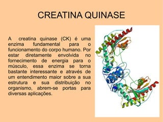 CREATINA QUINASE

A creatina quinase (CK) é uma
enzima     fundamental   para    o
funcionamento do corpo humano. Por
estar diretamente envolvida no
fornecimento de energia para o
músculo, essa enzima se torna
bastante interessante e através de
um entendimento maior sobre a sua
estrutura e sua distribuição no
organismo, abrem-se portas para
diversas aplicações.
 