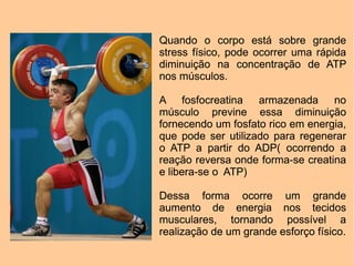 Quando o corpo está sobre grande
stress físico, pode ocorrer uma rápida
diminuição na concentração de ATP
nos músculos.

A fosfocreatina armazenada no
músculo previne essa diminuição
fornecendo um fosfato rico em energia,
que pode ser utilizado para regenerar
o ATP a partir do ADP( ocorrendo a
reação reversa onde forma-se creatina
e libera-se o ATP)

Dessa forma ocorre um grande
aumento de energia nos tecidos
musculares, tornando possível a
realização de um grande esforço físico.
 