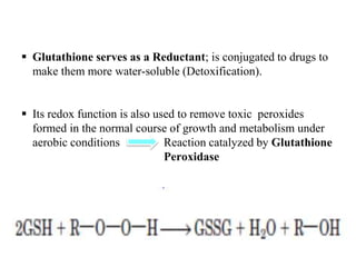 how long it takes for glutathione to work How Long Does Glutathione Take to Work? — Core Med Science how long it takes for glutathione to work How Long Does Glutathione Take to Work? — Core Med Science