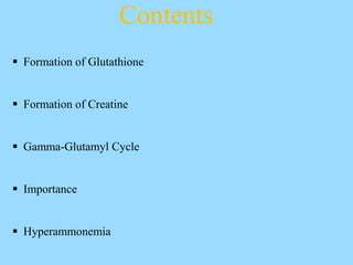 creatine and glutathione Creatine: Everything You Need to Know main image 0