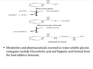 CREATINE AND GLUTATHIONE METABOLISM, STEPS AND CLINICAL ASPECTS