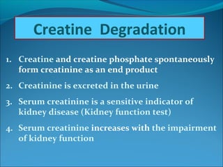 1. Creatine and creatine phosphate spontaneously
form creatinine as an end product
2. Creatinine is excreted in the urine
3. Serum creatinine is a sensitive indicator of
kidney disease (Kidney function test)
4. Serum creatinine increases with the impairment
of kidney function
Creatine Degradation
 