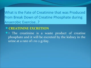 What is the Fate of Creatinine that was Produced
from Break Down of Creatine Phosphate during
Anaerobic Exercise..?
CREATININE EXCRETION
• The creatinine is a waste product of creatine
phosphate and it will be excreted by the kidney in the
urine at a rate of 1 to 2 g/day.
 