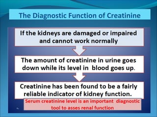 The Diagnostic Function of Creatinine
 