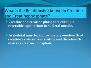 What’s the Relationship between Creatine
and Creatinephosphate?
Creatine and creatine phosphate exist in a
reversible equilibrium in skeletal muscle.
In skeletal muscle, approximately one-fourth of
creatine exists as free creatine and threefourth
exists as creatine phosphate.
 