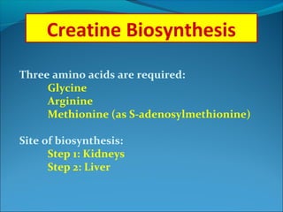 Creatine metabolism | PPT