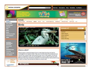 Creating a Component Library