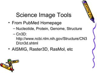 Science Image Tools From PubMed Homepage Nucleotide, Protein, Genome, Structure Cn3D: http://www.ncbi.nlm.nih.gov/Structure/CN3D/cn3d.shtml AISMIG, Raster3D, RasMol, etc 