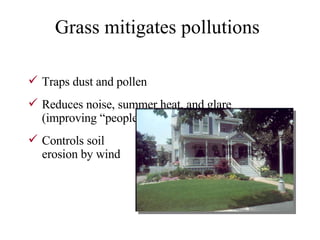 Traps dust and pollen Reduces noise, summer heat, and glare   (improving “people space”) Controls soil  erosion by wind Grass mitigates pollutions 